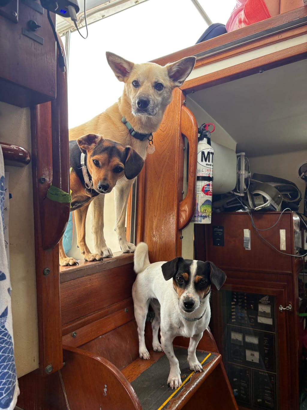 The Muttley Crew