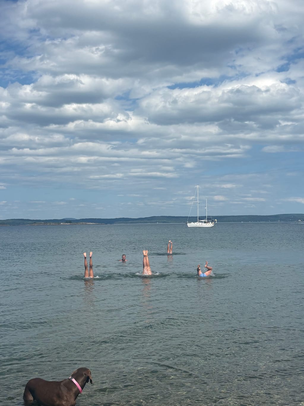 Pond Island