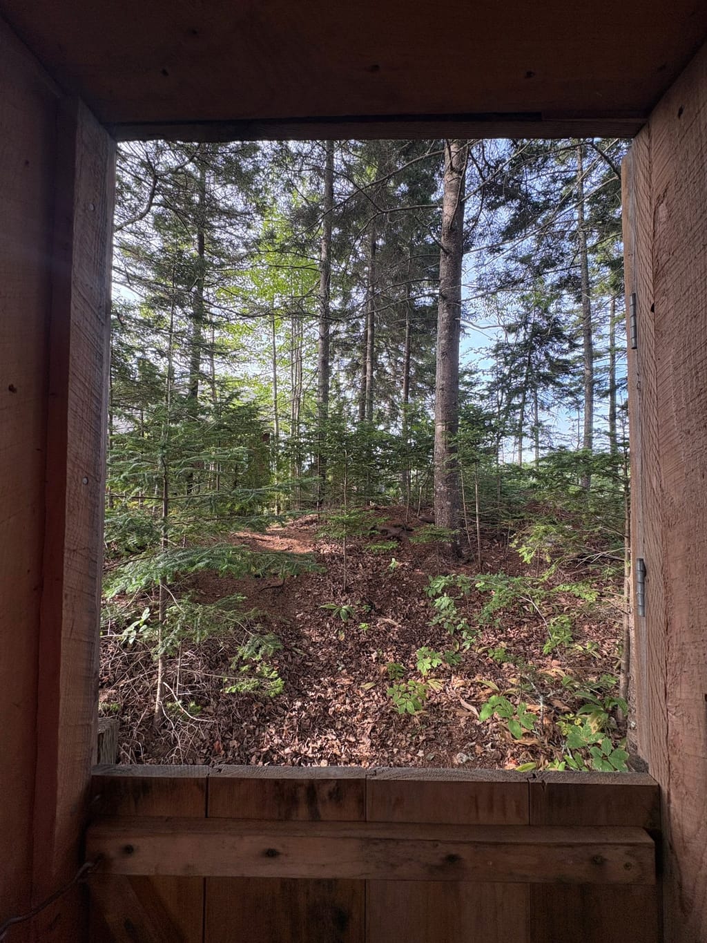 View from the outhouse