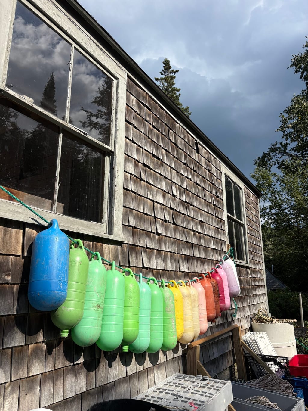 One of the labs on Hurricane Island