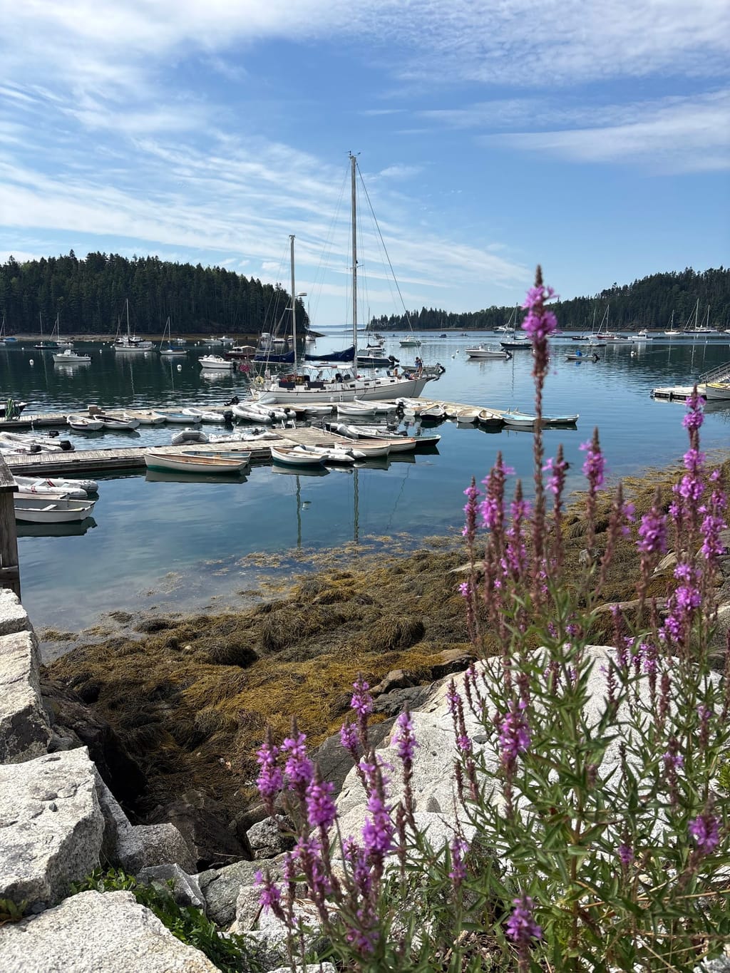 LuRu at Bucks Harbor Yacht Club