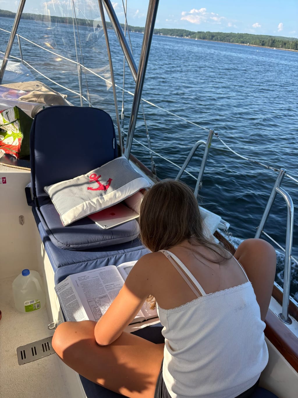 Reading the cruising guide