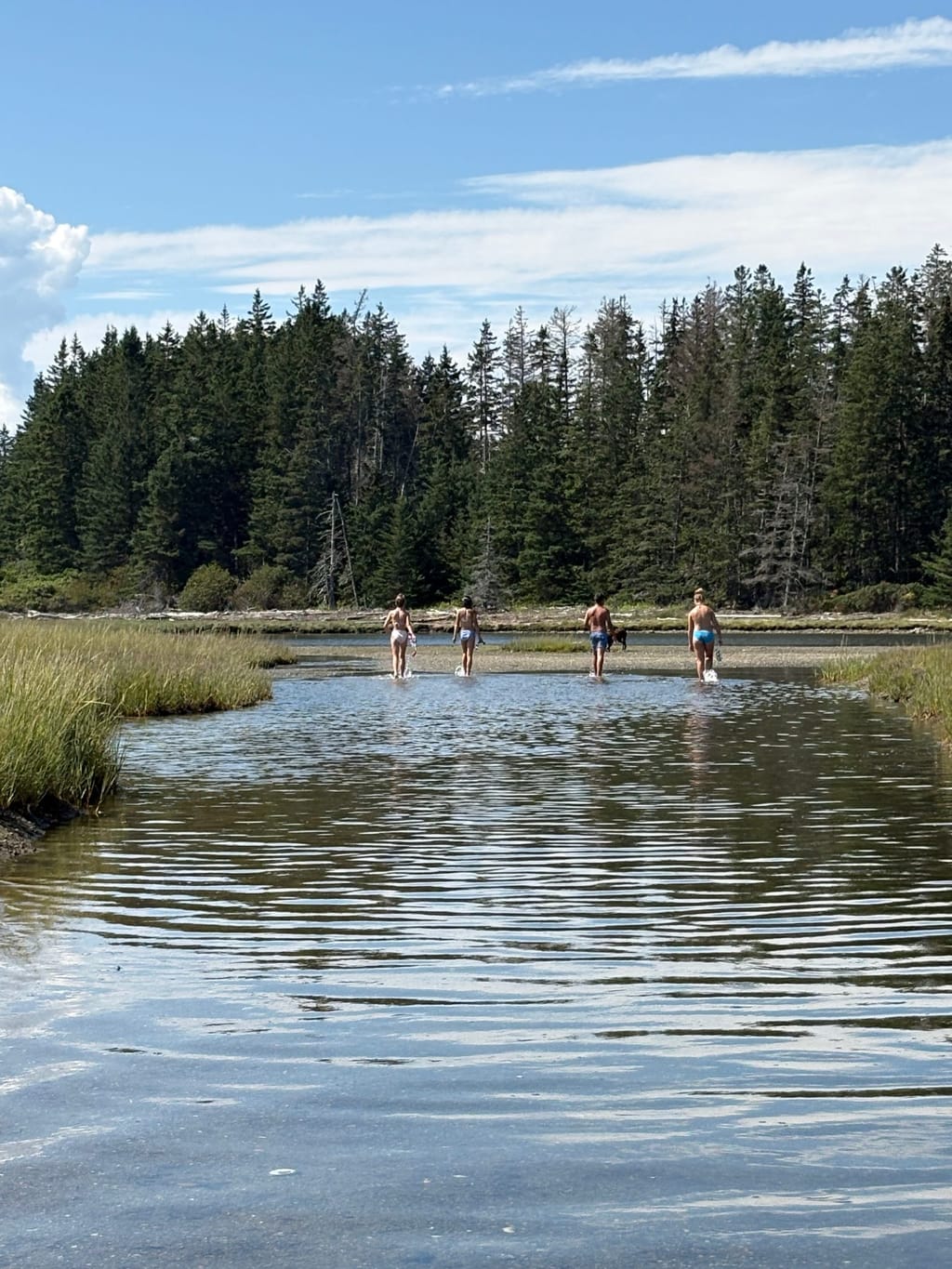 Pond Island