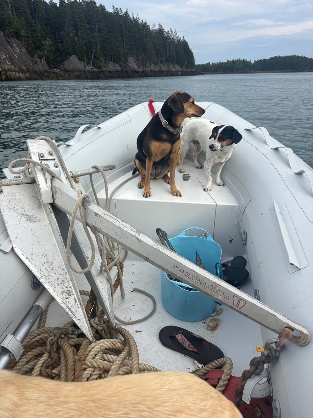 Anchor drama