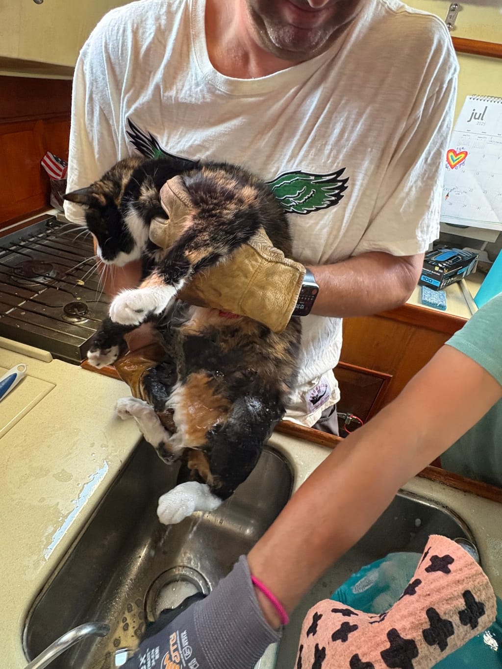 She fell into the oily bildge water one day...it was rough but we got her clean in the galley sink