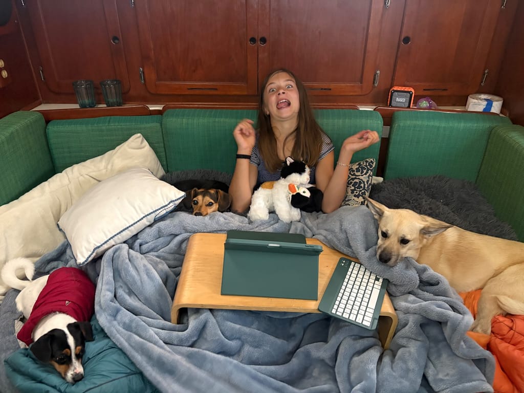 Ruby doing some school work with her furry besties