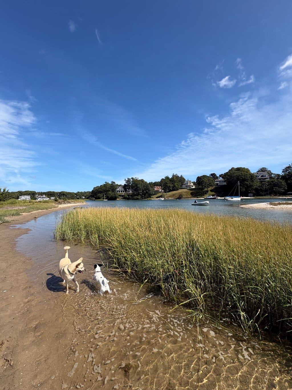 Lawrence Island, Megansett Harbor, North Falmouth MA