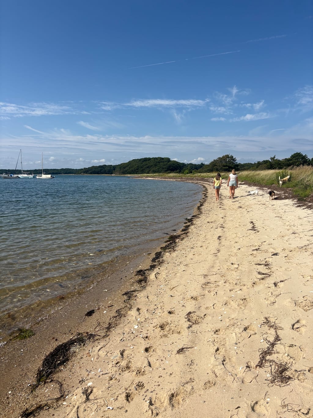 Lawrence Island, Megansett Harbor, North Falmouth MA