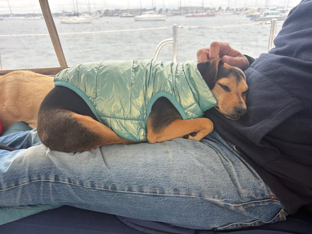 Miss Moose with her man 