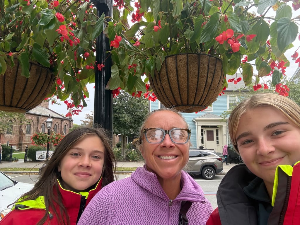 Holy Begonias! They line the main drag in the dump hole