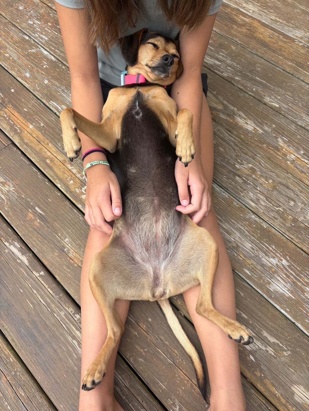 Miss Moose