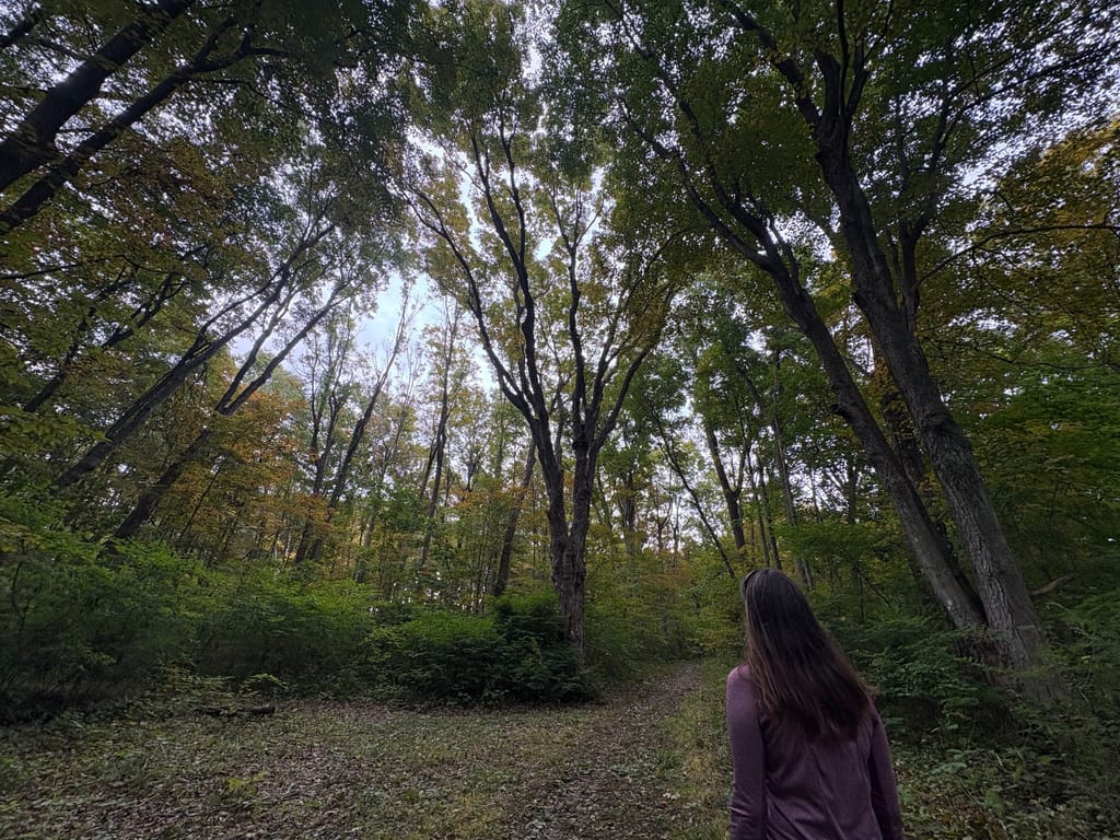 Trails near the Reiley house