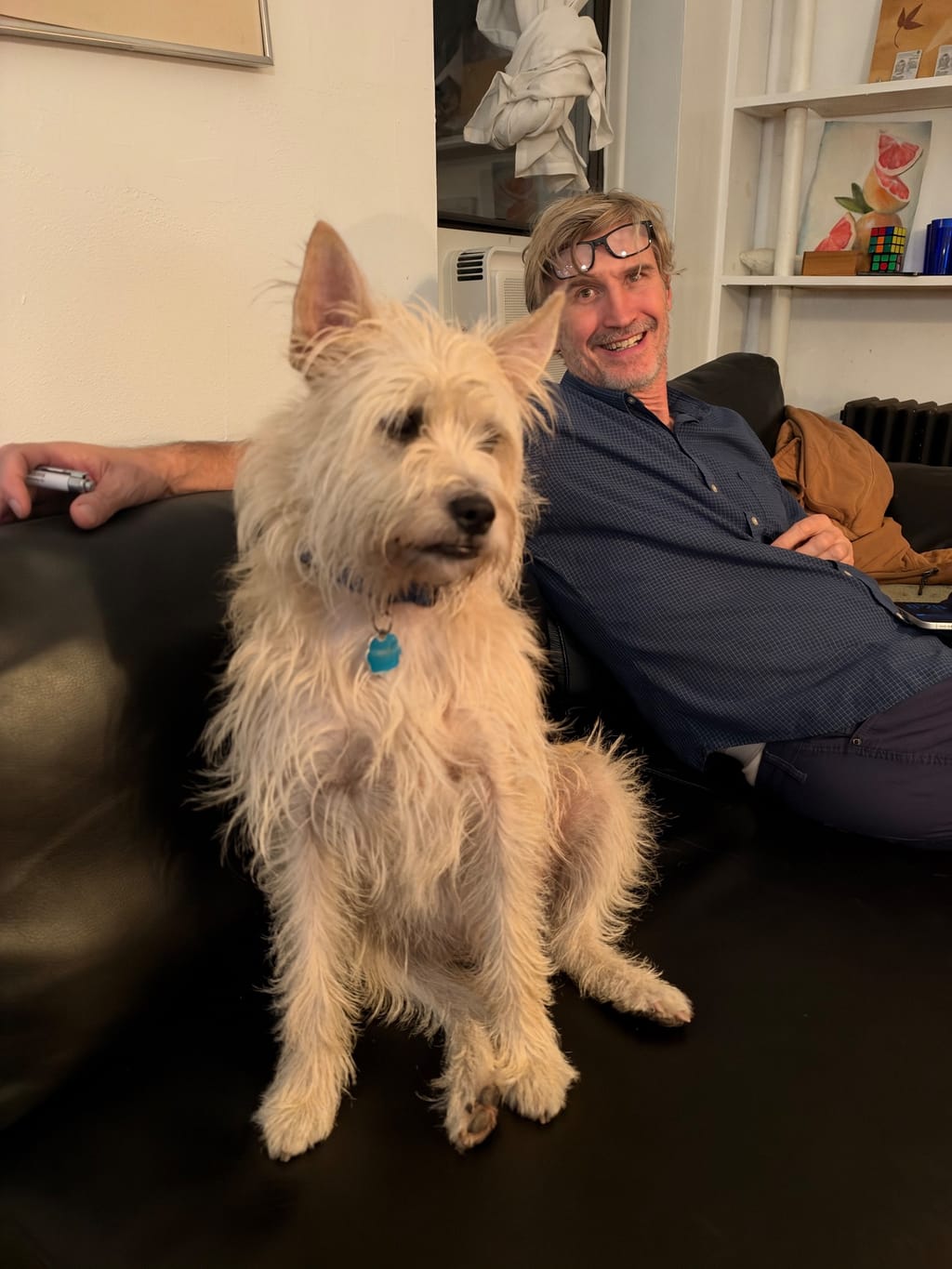 Felix the super mutt