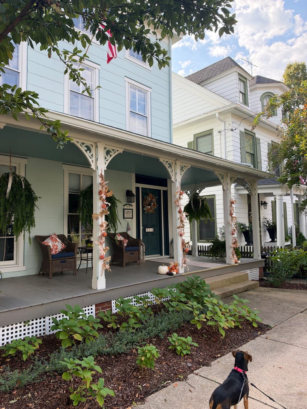 The adorable houses of Chesapeake City
