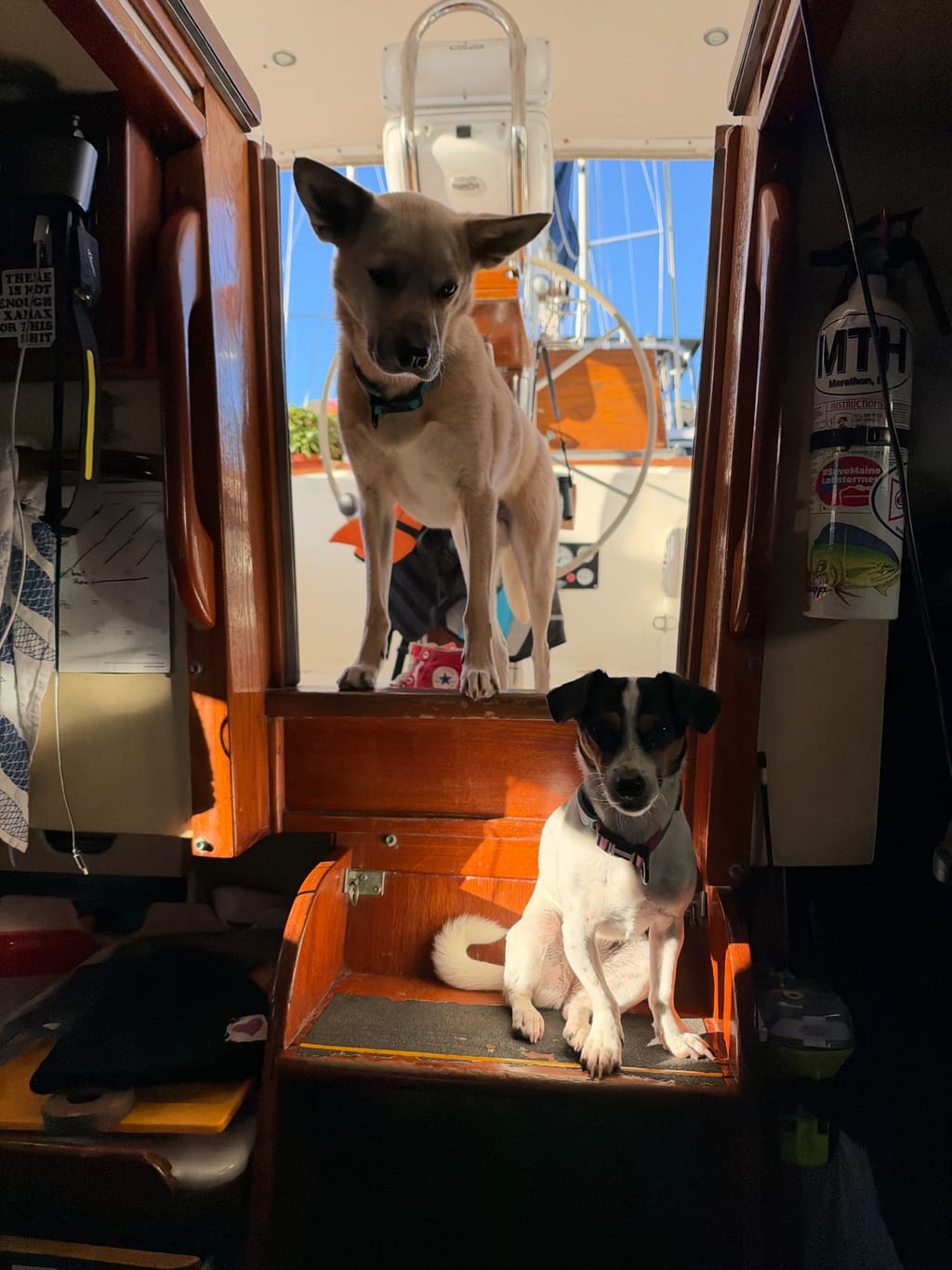 Fonz & Pickles