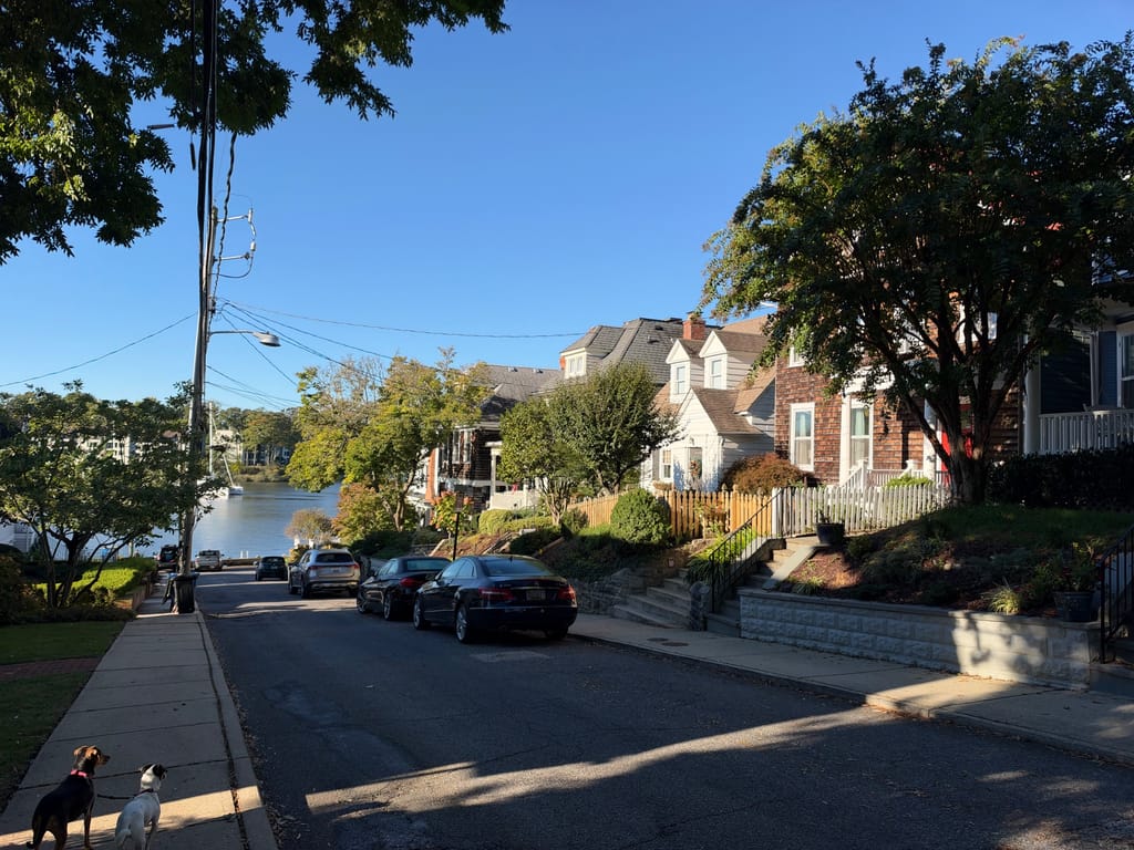 Annapolis side streets on morning dog jog 