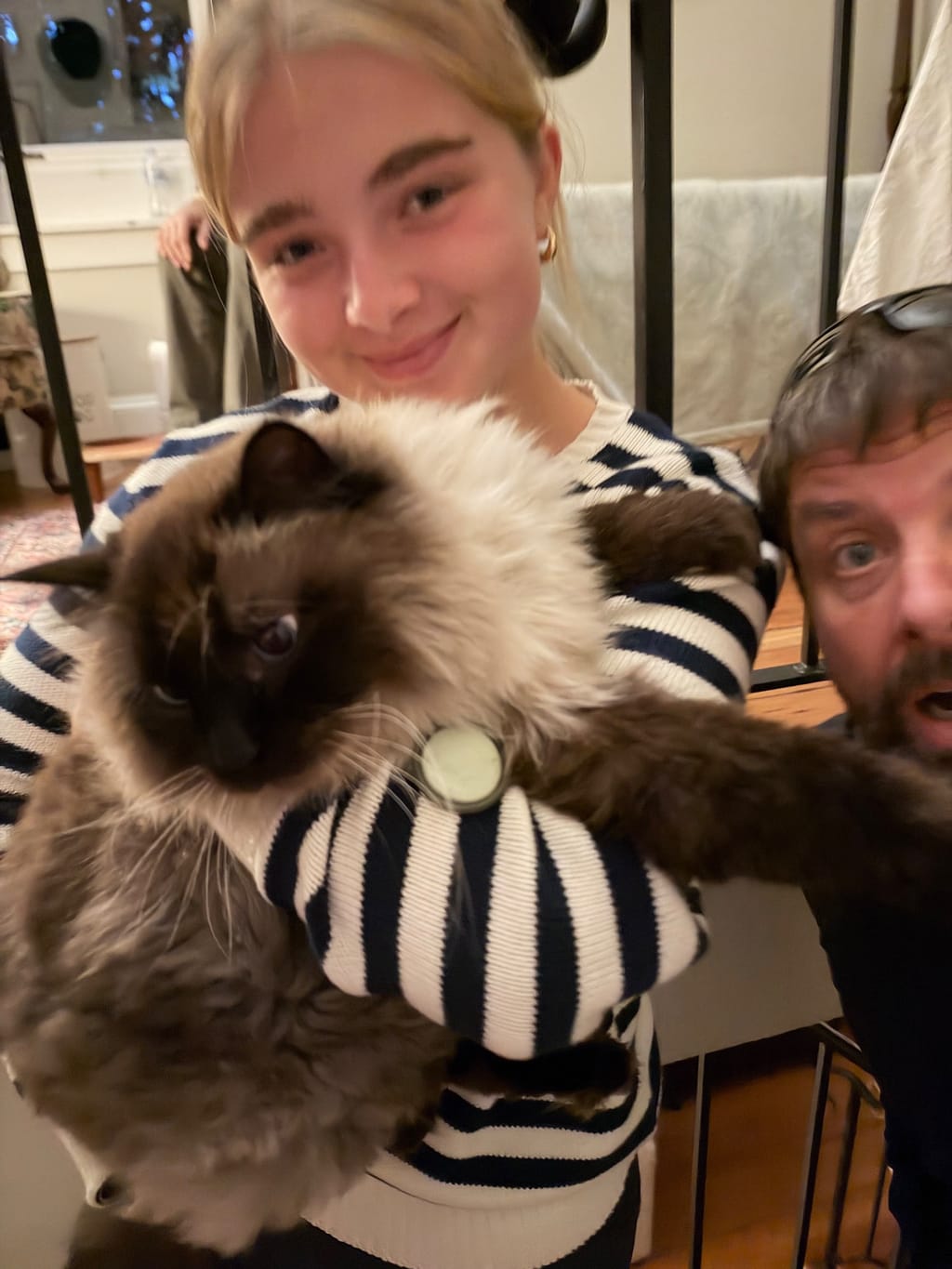 Cat love! 