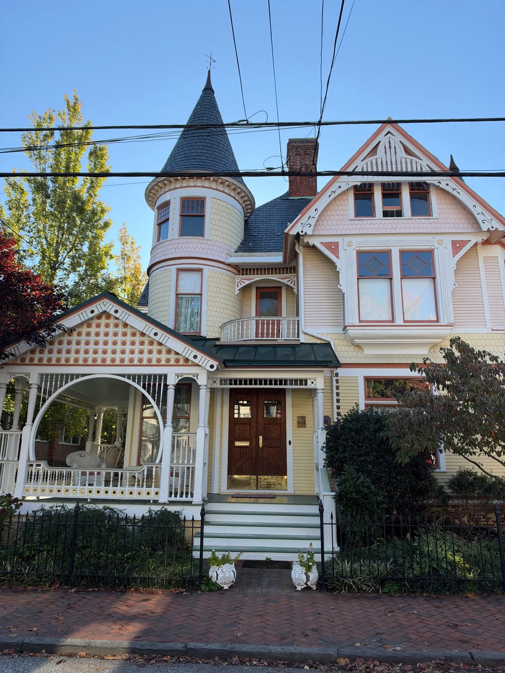 Annapolis side streets on morning dog jog 