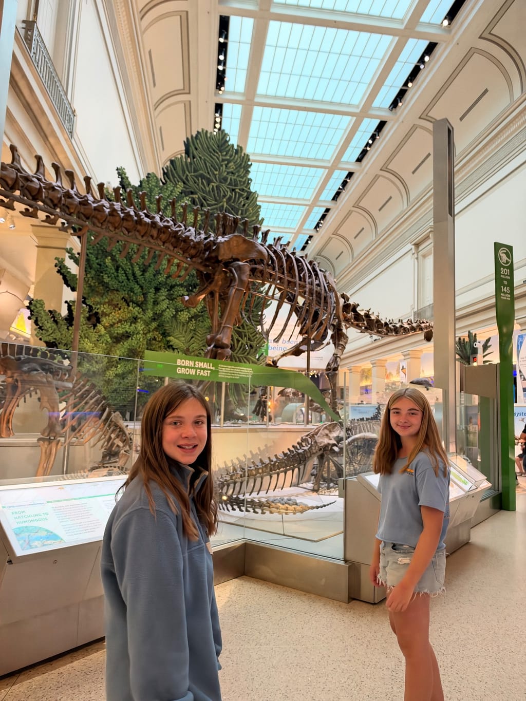 Natural Hx Museum