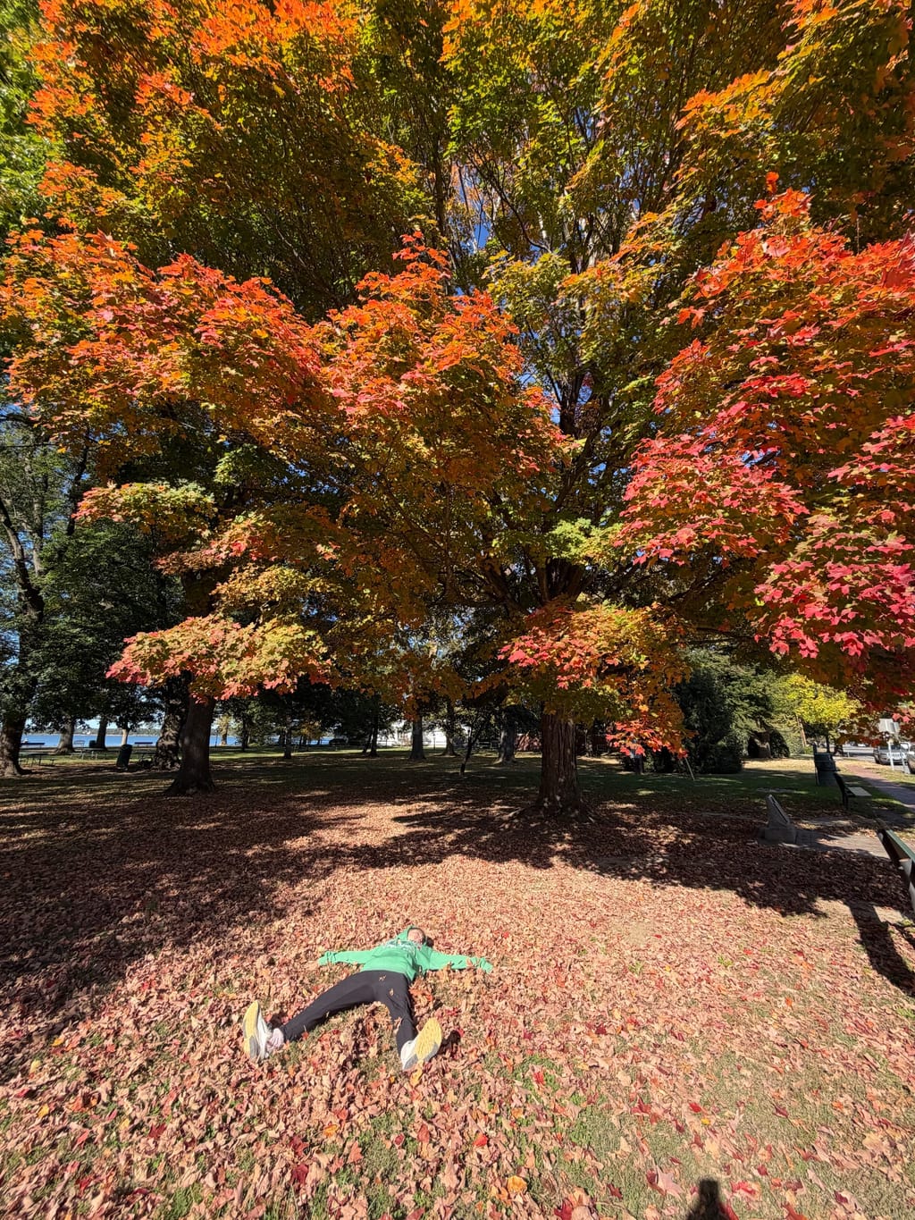We’re all kinda missing fall and this was a good shot of it 