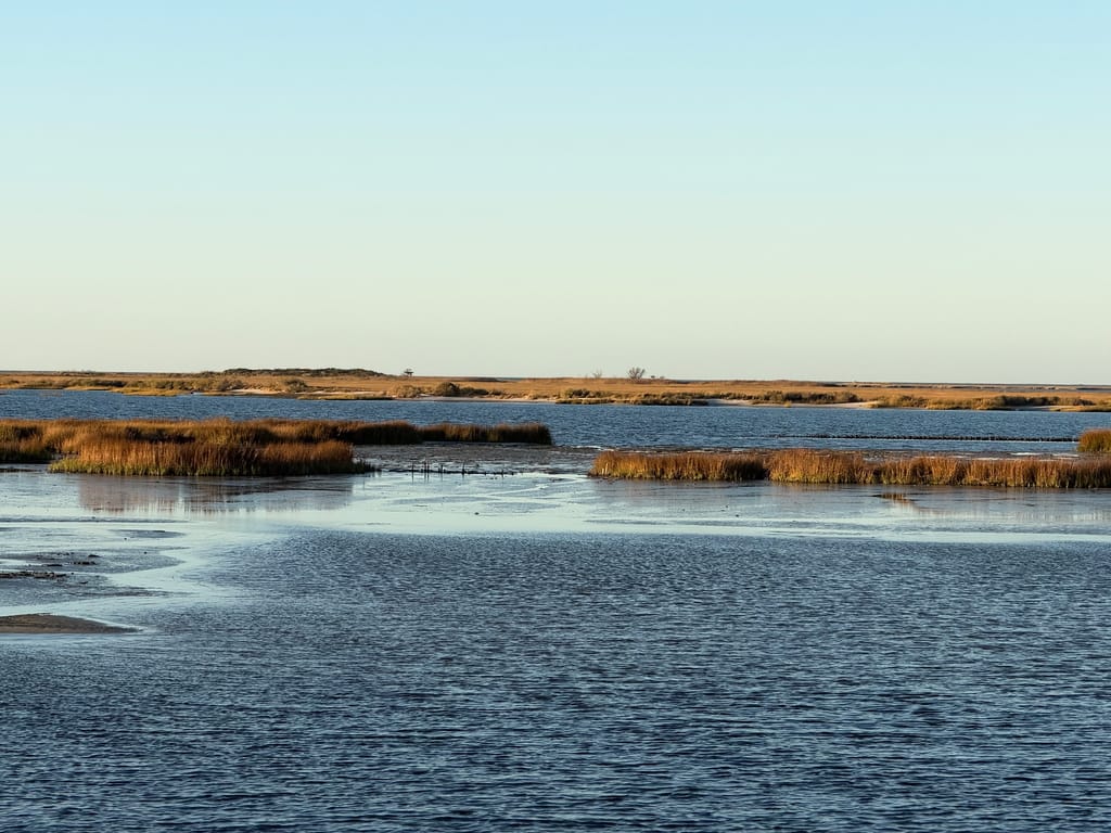Smith Island marshes